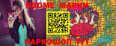крисы Шелехов