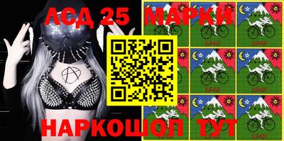 крисы Шелехов