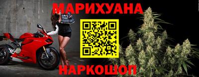 крисы Шелехов