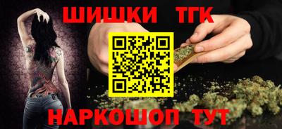 крисы Шелехов