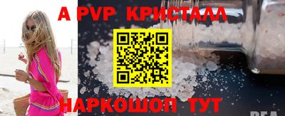 крисы Шелехов