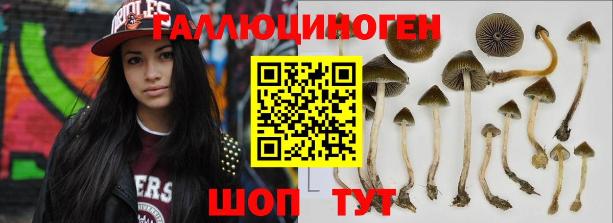Псилоцибиновые грибы GOLDEN TEACHER  Вход с VPN  Кувандык 